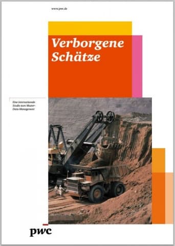 Verborgene Schätze - Eine internationale Studie zum Master-Data-Management