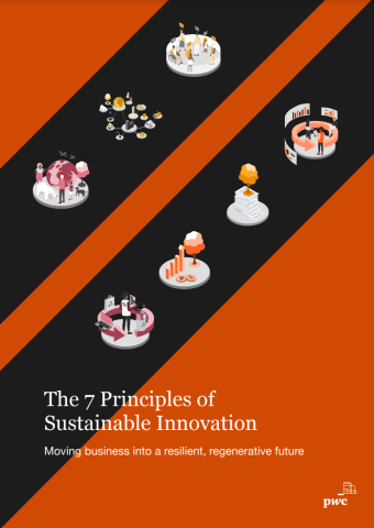 The 7 Principles of Sustainable Innovation