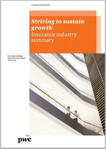 Striving to sustain growth  - Insurance industry summary