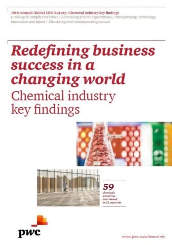 Redefining business success in a changing world - Chemical industry key findings??