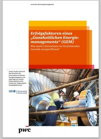 Erfolgsfaktoren eines ganzheitlichen Energiemanagements (GEM) - Was macht Unternehmen im verarbeitenden Gewerbe energieeffizient?