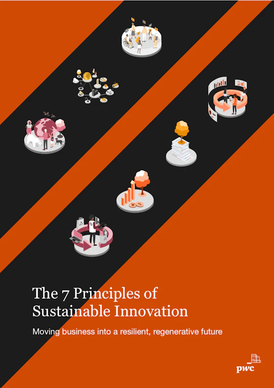 The 7 Principles of Sustainable Innovation